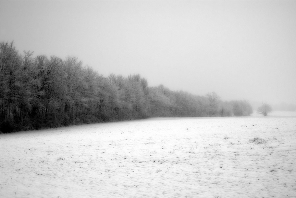 Lisière de neige Lisière de neige
