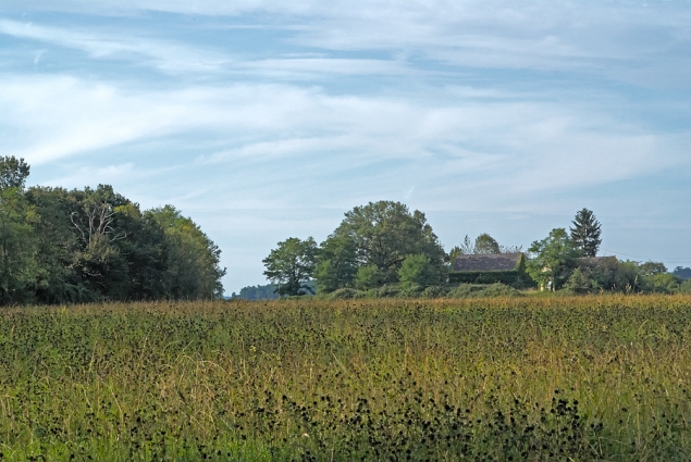 La maison abandonnée La maison abandonnée