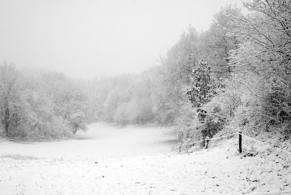Pré de la neige Pré de la neige