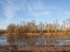 Loire en hiver