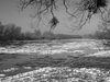 Loire des glaces