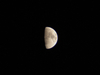 Lune