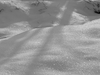 Neige poudreuse