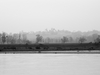 Paysage froid et brumeux