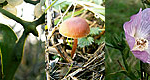 decembre-photos
