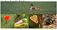 Instantanés nature