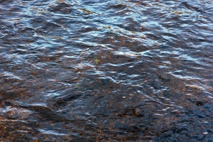 Vaguelettes de rivière