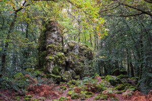 La roche aigue