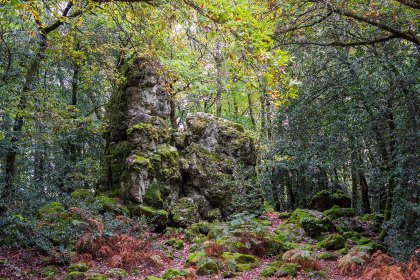 La roche aigue