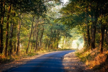 Route