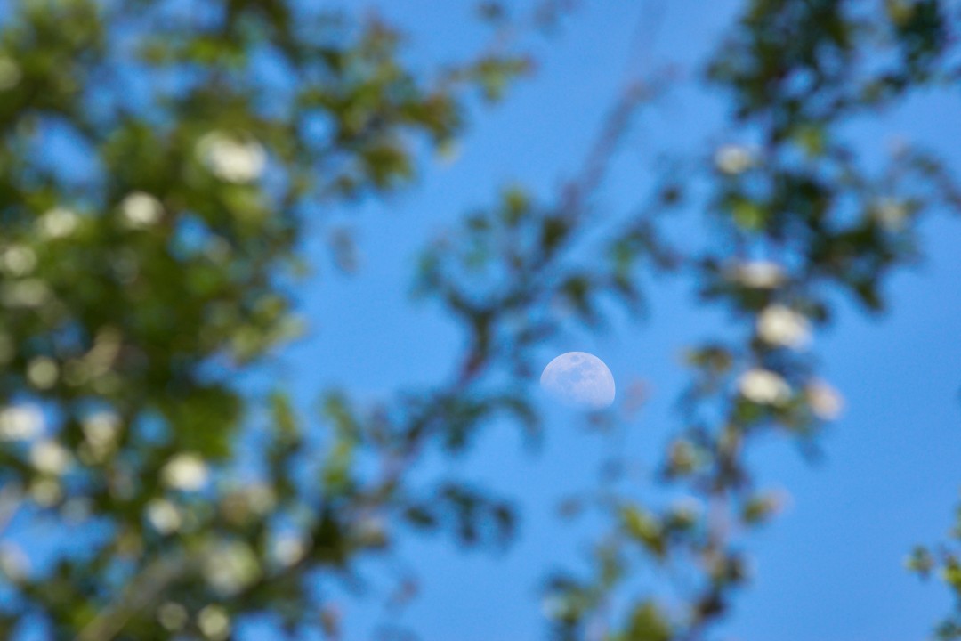 Lune d'avril