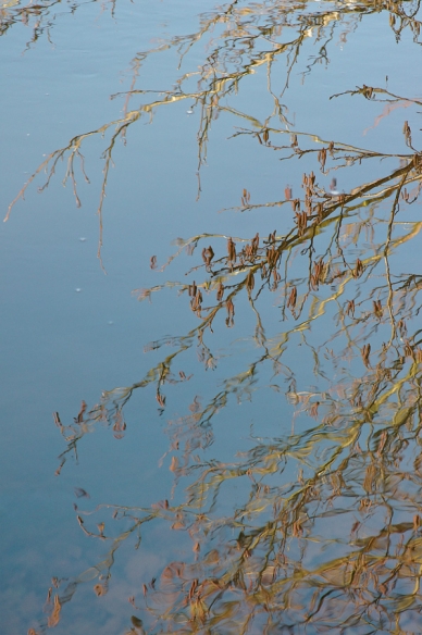 Reflets sur la rivière