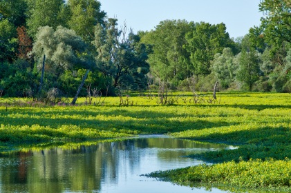 Loire