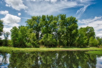 Loire, photographie nature, zipanatura