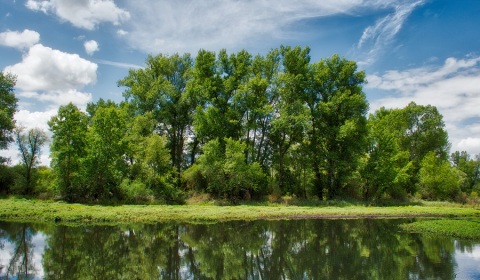 Loire, photographie nature, zipanatura