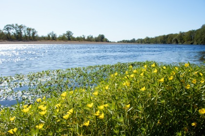 Loire