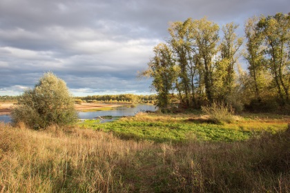 Loire en automne