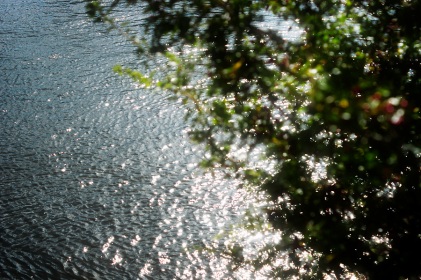 La Loire