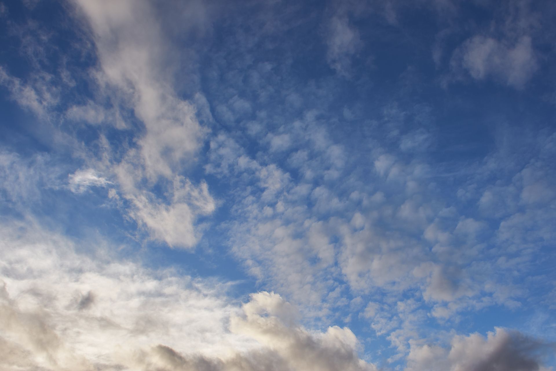 Cirrocumulus Cirrocumulus
