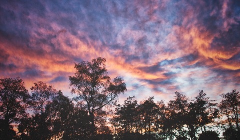 Embrasement des cimes