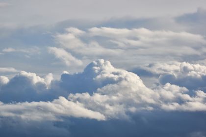 Cumulus bourgeonnant