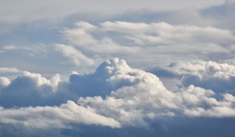 Cumulus bourgeonnant