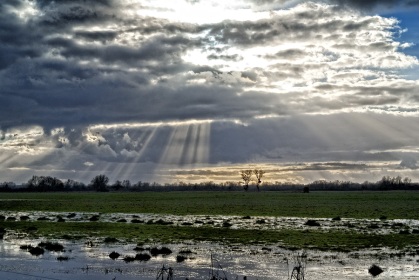 La crue