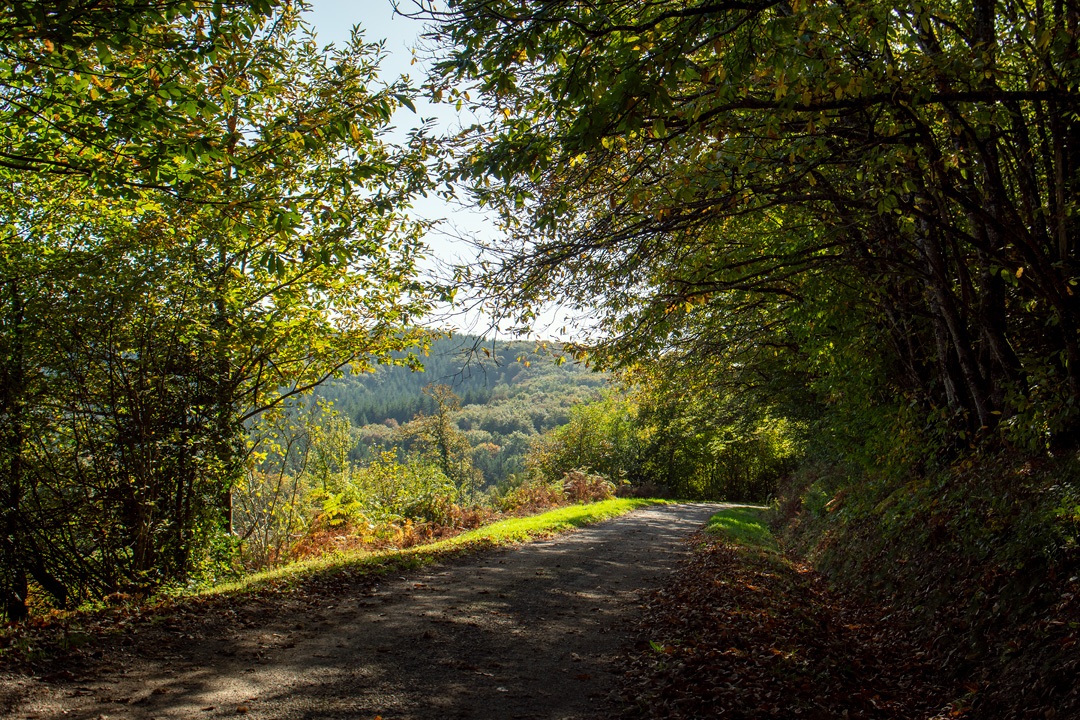Route du morvan