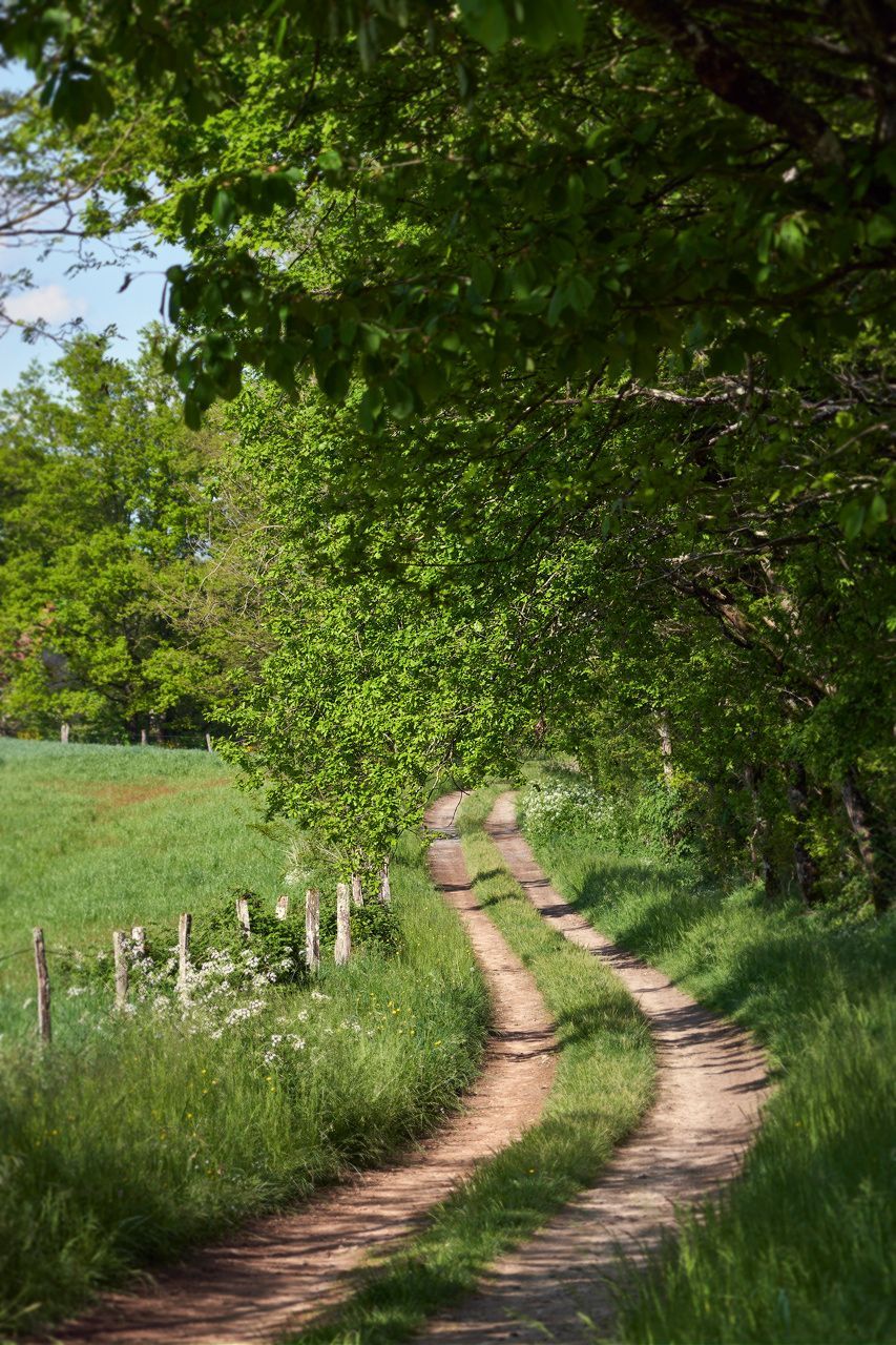 Chemin