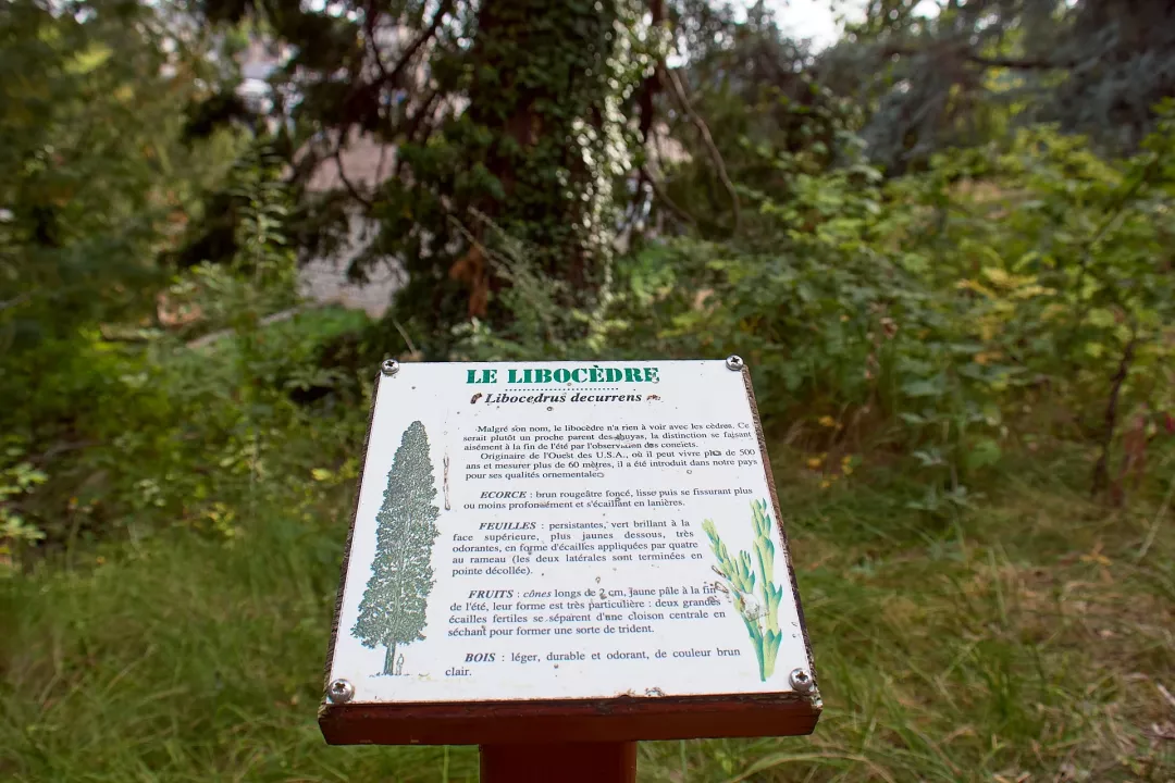 Murol-parc-affiche-libocedre