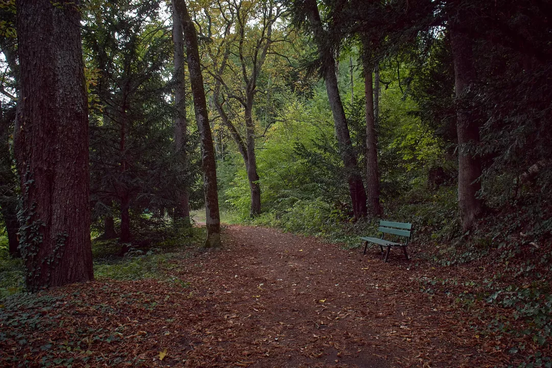 Murol-parc-banc