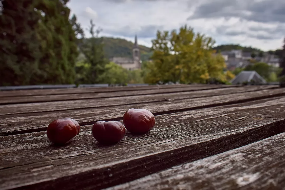 Murol-parc-marrons