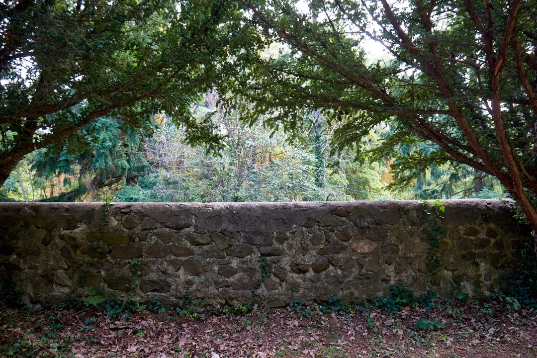 Murol-parc-muret