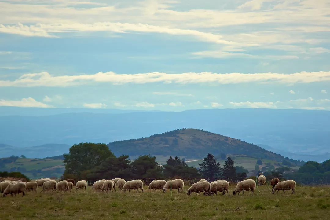 Puys-moutons