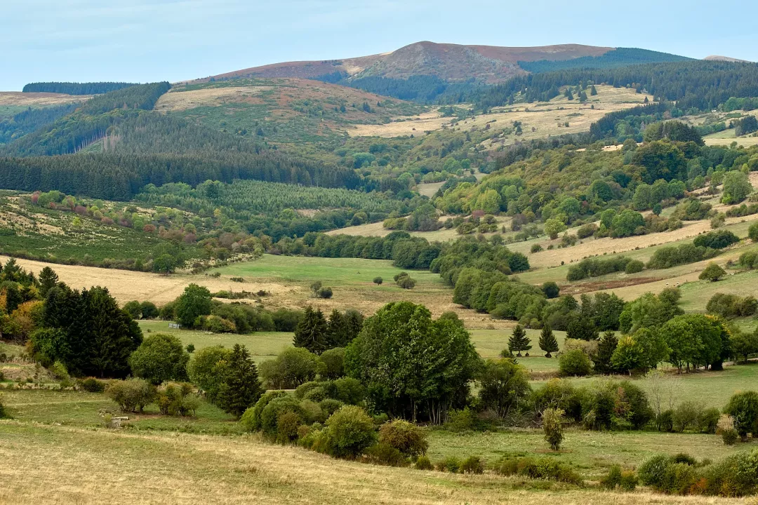 Puys-sancy