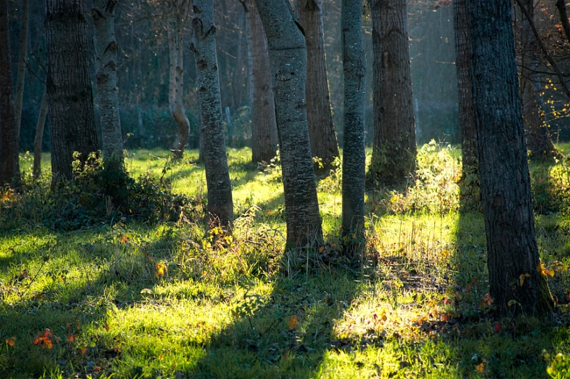 Près de la rivière