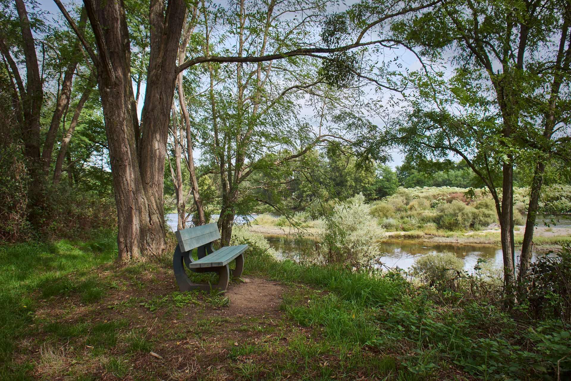 La gravière aux oiseaux