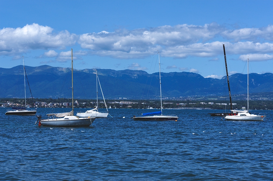 Bateaux Léman