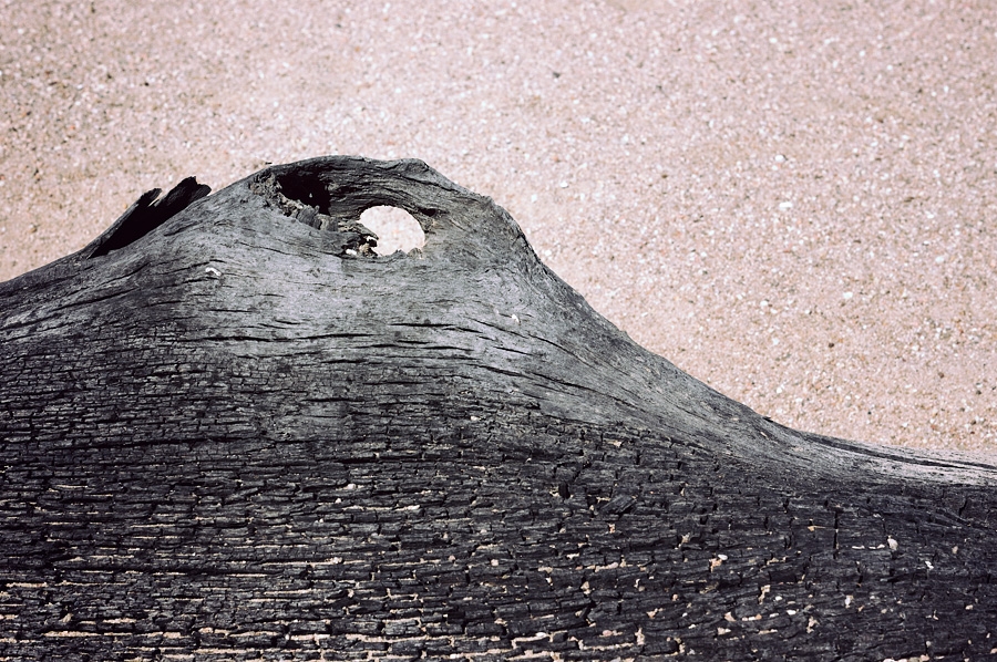 Bois brûlé