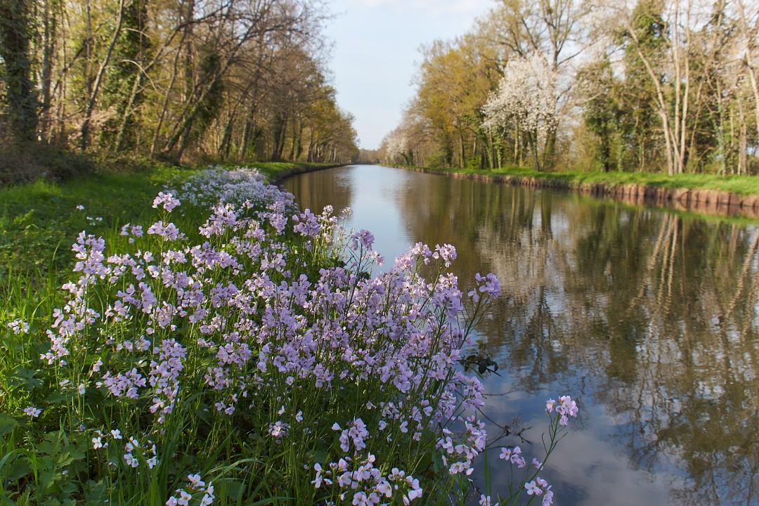 Canal fleuri