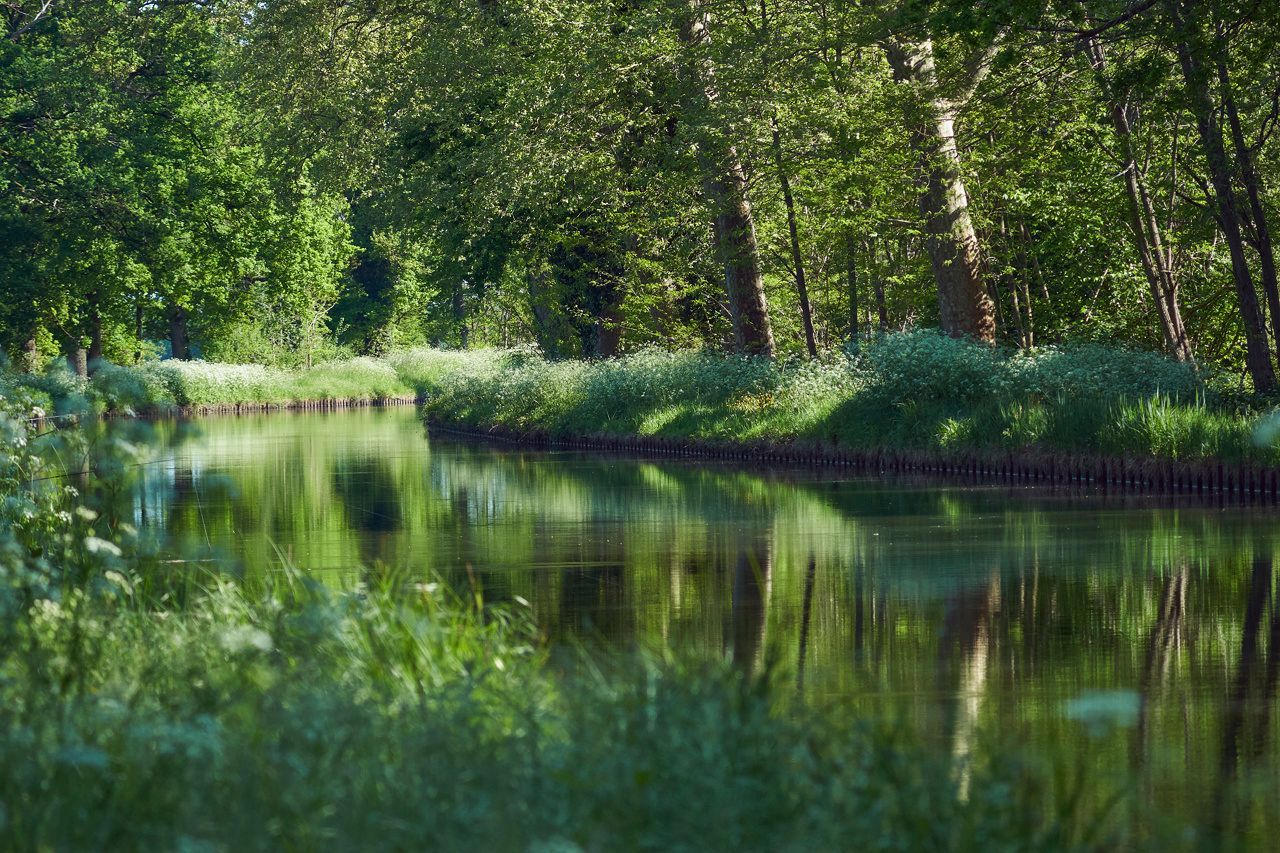 Canal