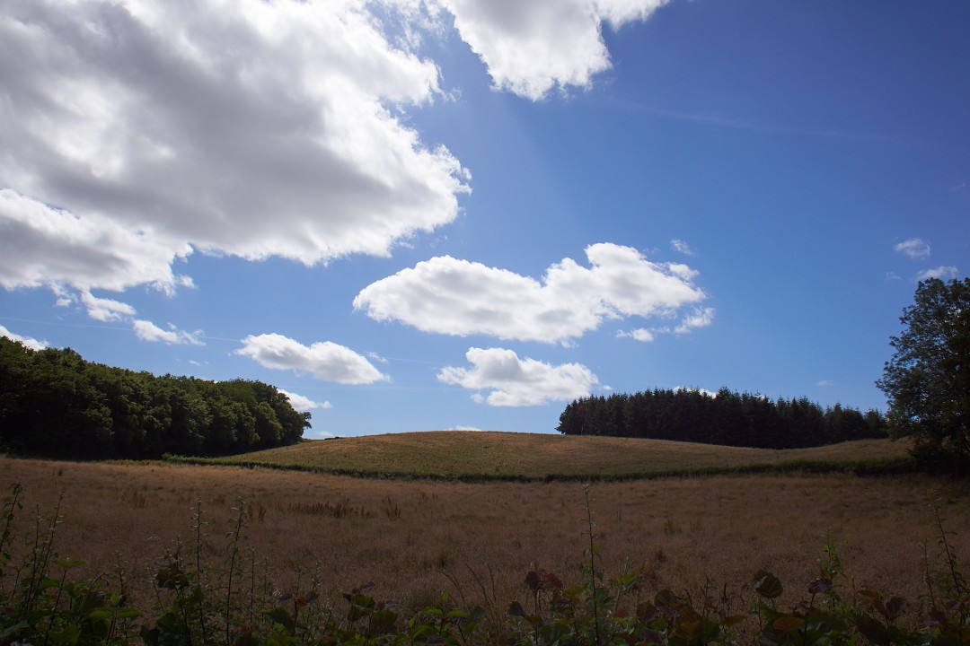 colline nue