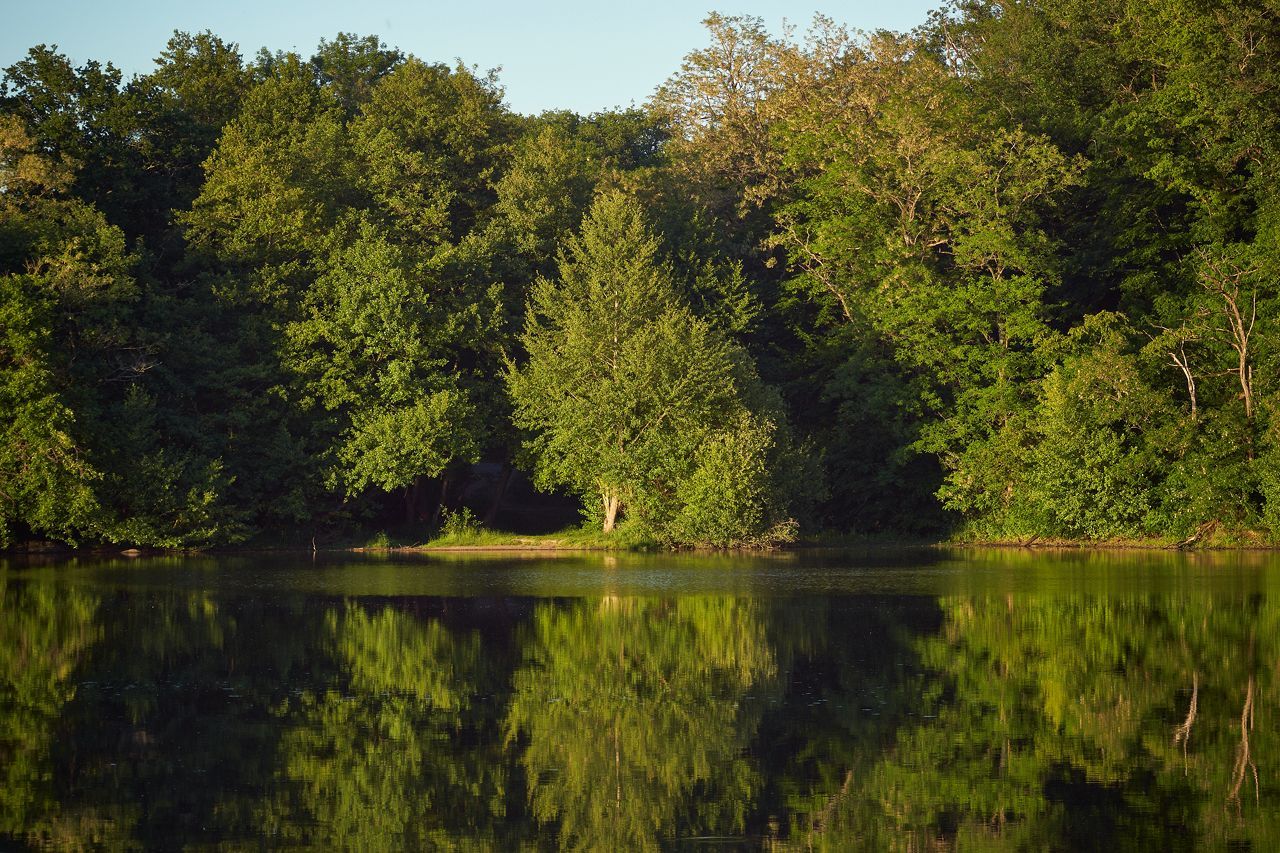 Etang de Beauchamp