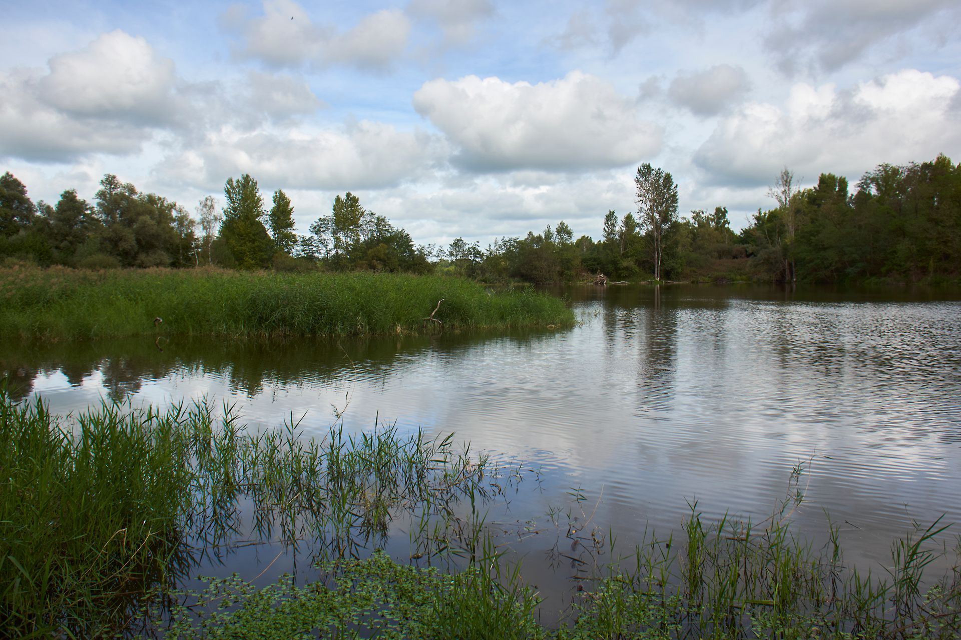 La gravière aux oiseaux