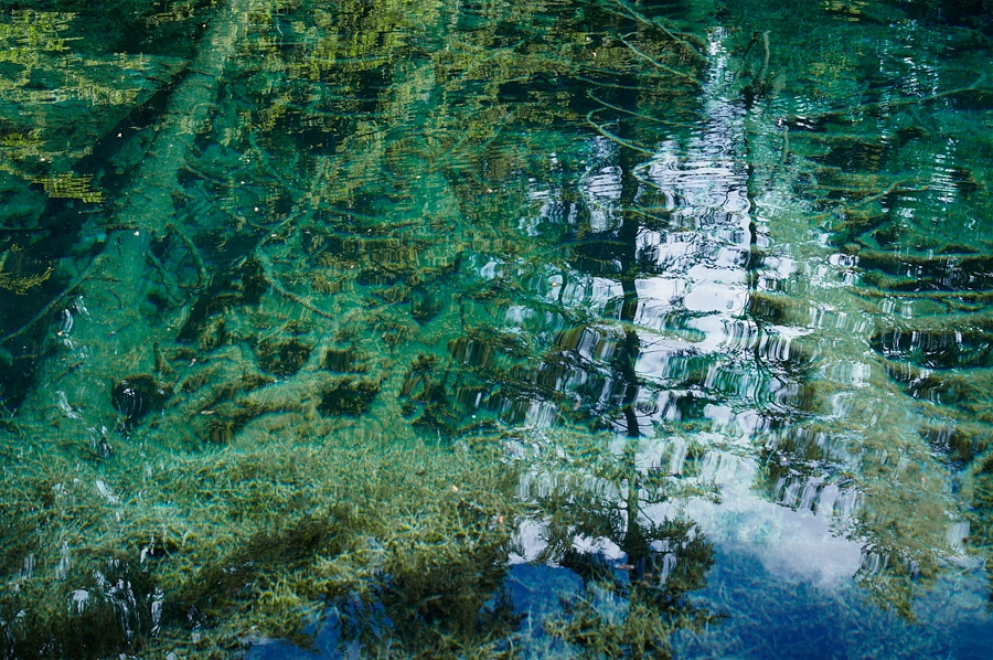 Lac vert