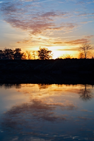 Crépuscule des ondines