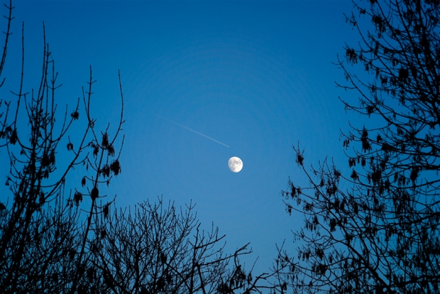 Lune bleue