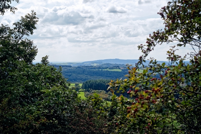 Montagne de Mont