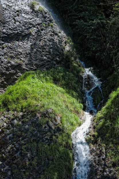 Petit chemin