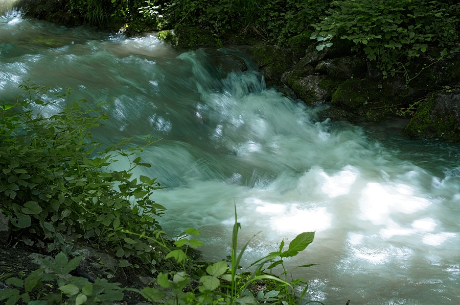 Torrent